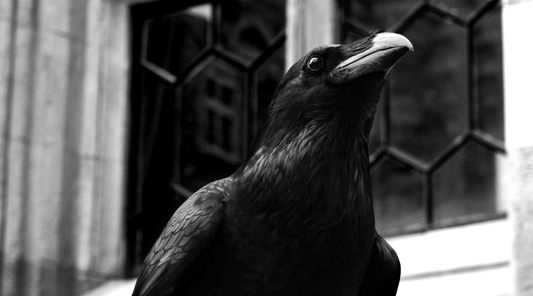 The old ways - Counting Crows