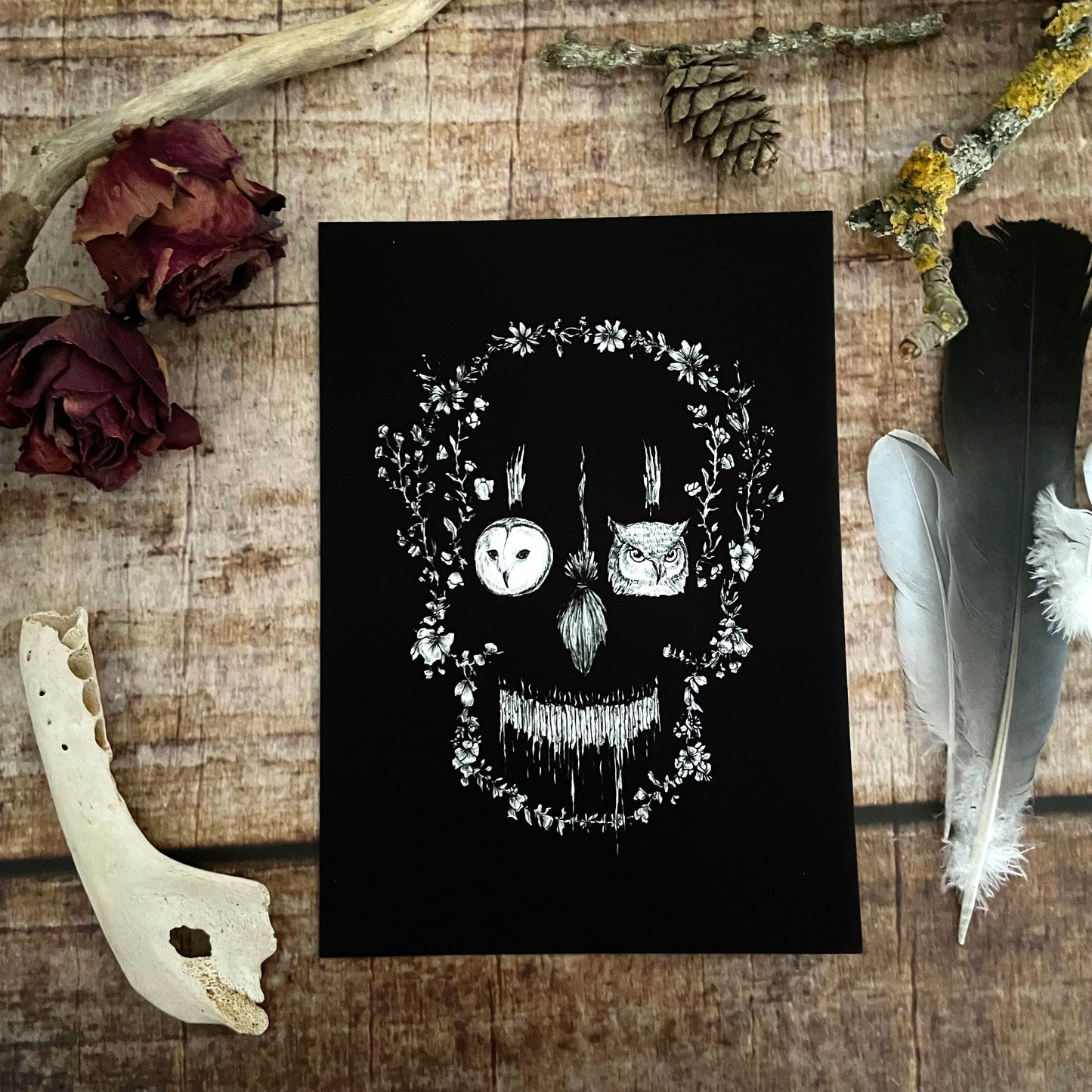Kunstdruck Nocturn Schädel - Art Print by Mary Syring