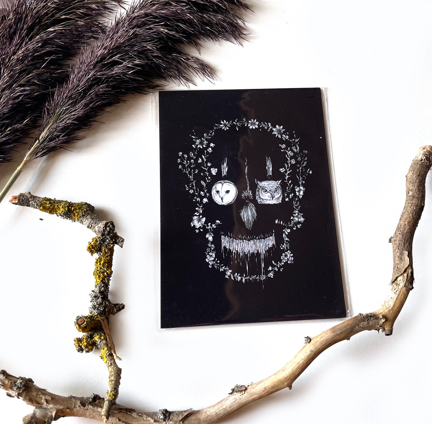 Kunstdruck Nocturn Schädel - Art Print by Mary Syring