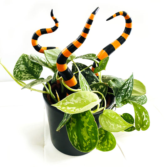 Pflanzenstecker Harlequin Dekoration Tentakel Halloween