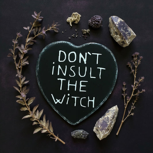 Holzschild Herz Don't insult the witch