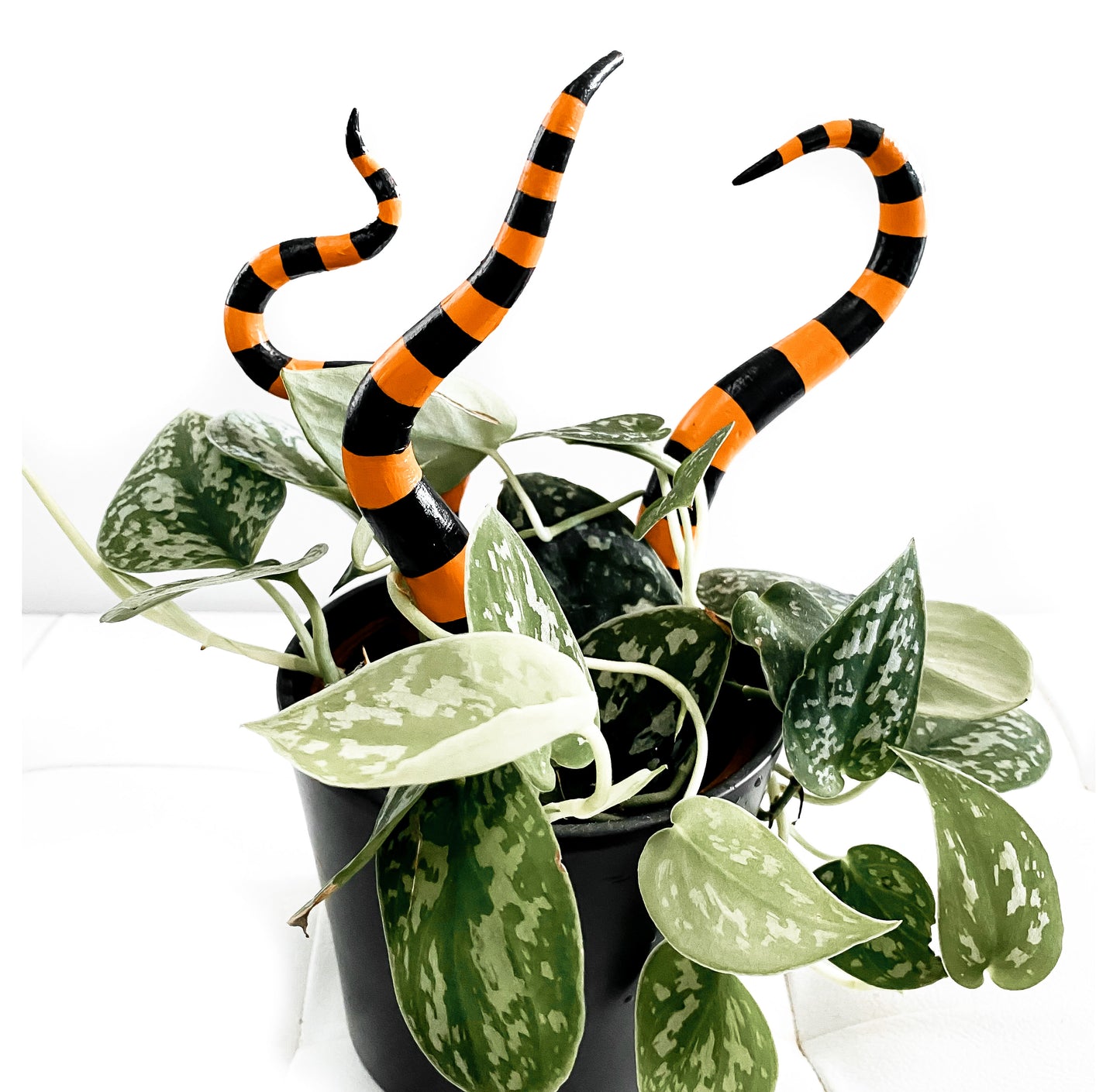 Pflanzenstecker Harlequin Dekoration Tentakel Halloween